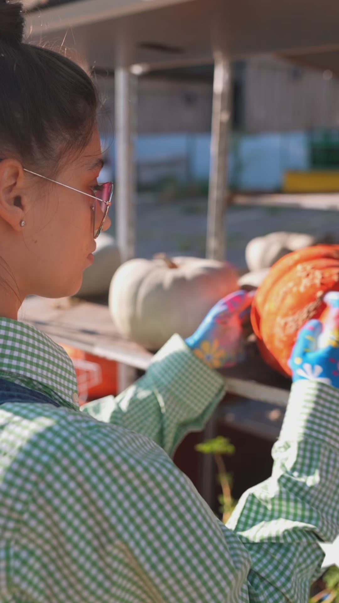 Plaque Google Review